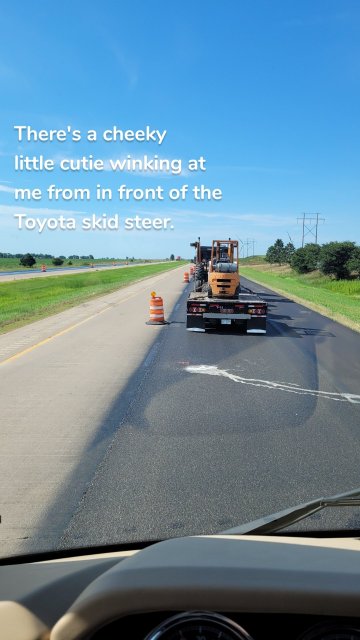 There's a cheeky little cutie winking at me from in front of the Toyota skid steer.